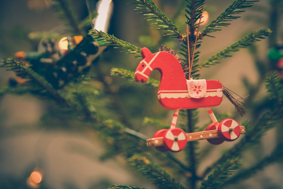 Jakie gatunki iglaków nadają się na świąteczne drzewko?